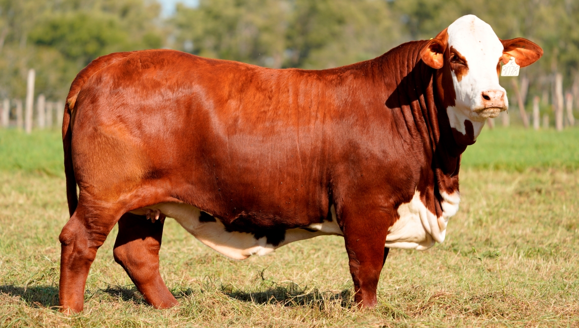 BIOTIPO - FOTO 2025_web