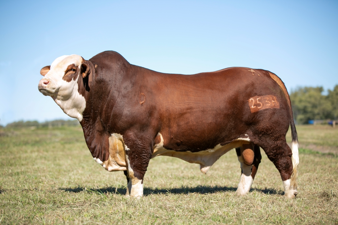 Foto 1_seleccion_web