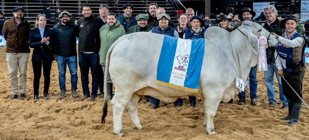 Brahman - Gran Campeon Hembra - Cabaña Nueva Valencia_web2